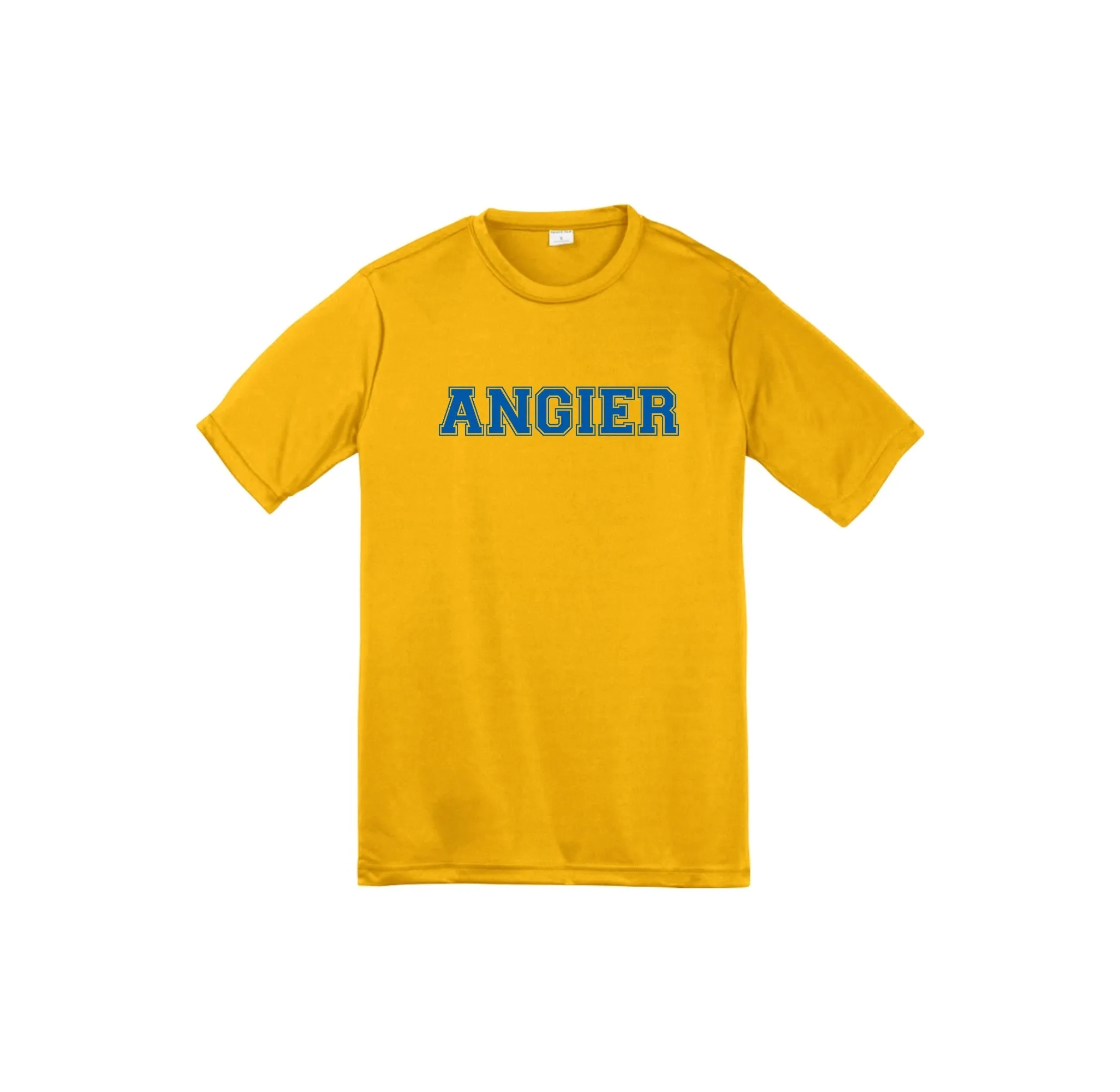 Angier Elementary Fall-Youth Unisex Dri-Fit Shirt On-Demand