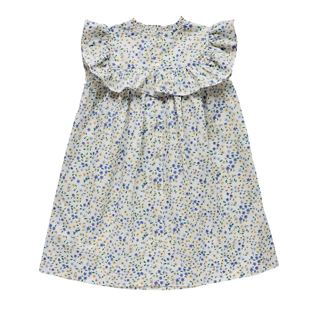 lucinda dress - cornflower confetti floral