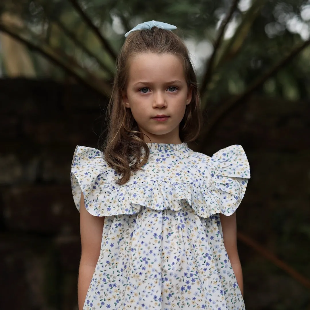 lucinda dress - cornflower confetti floral
